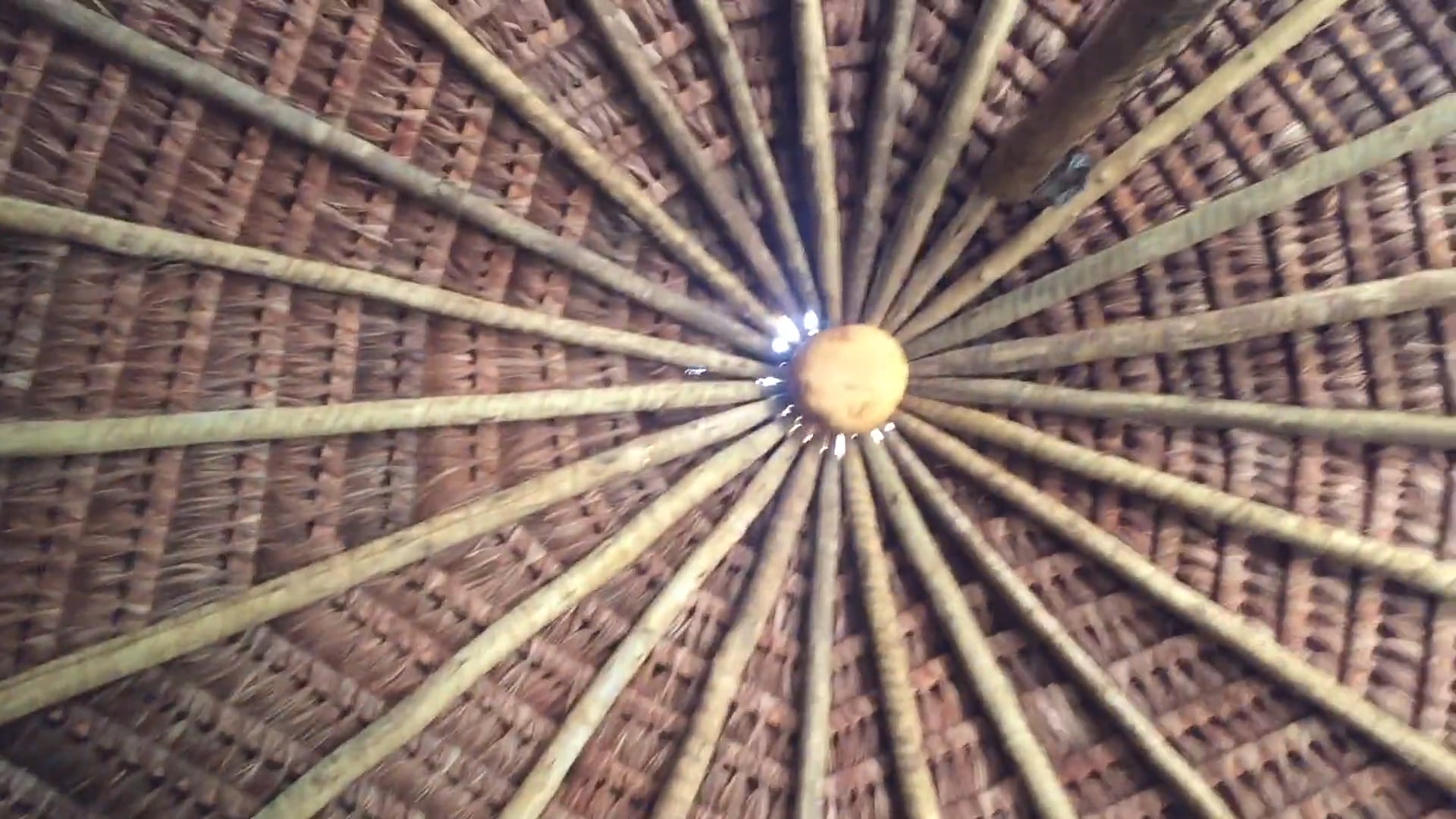 Pau-a-pique in Bahia