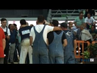Gran campeonato de terneras y novillas