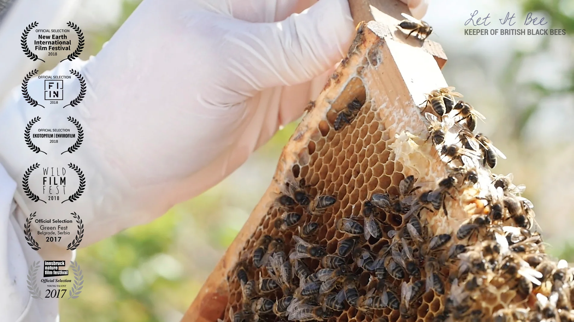 Let It Bee: Keeper of British Black Bees on Vimeo