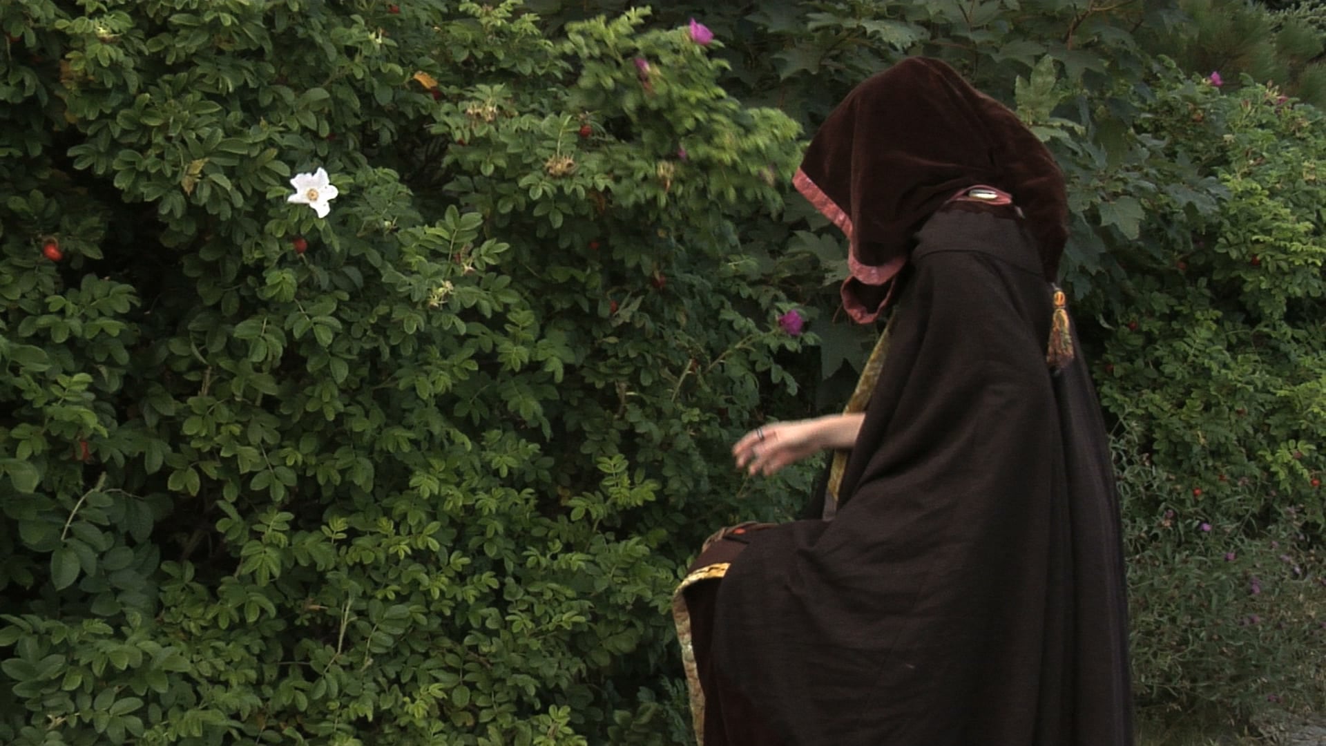 A Father's First Spring on Vimeo