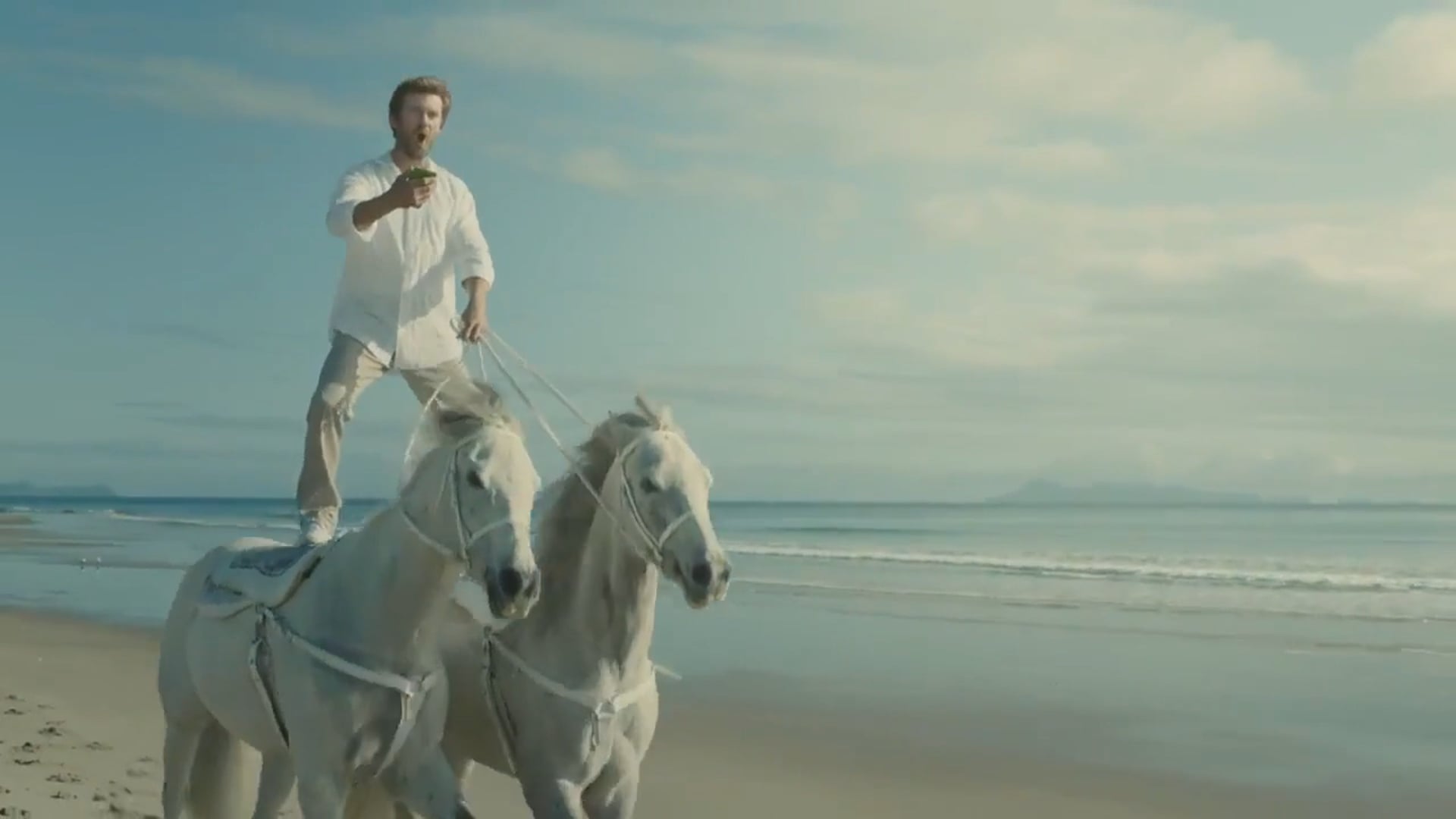 Bingle - Horses