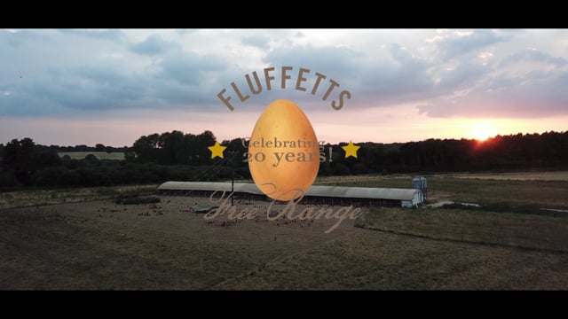 Fluffetts: A Clucking Good Family Farm