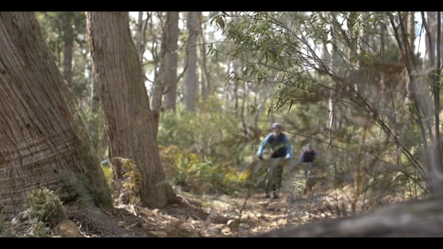 Ben Lomond Descent Tour