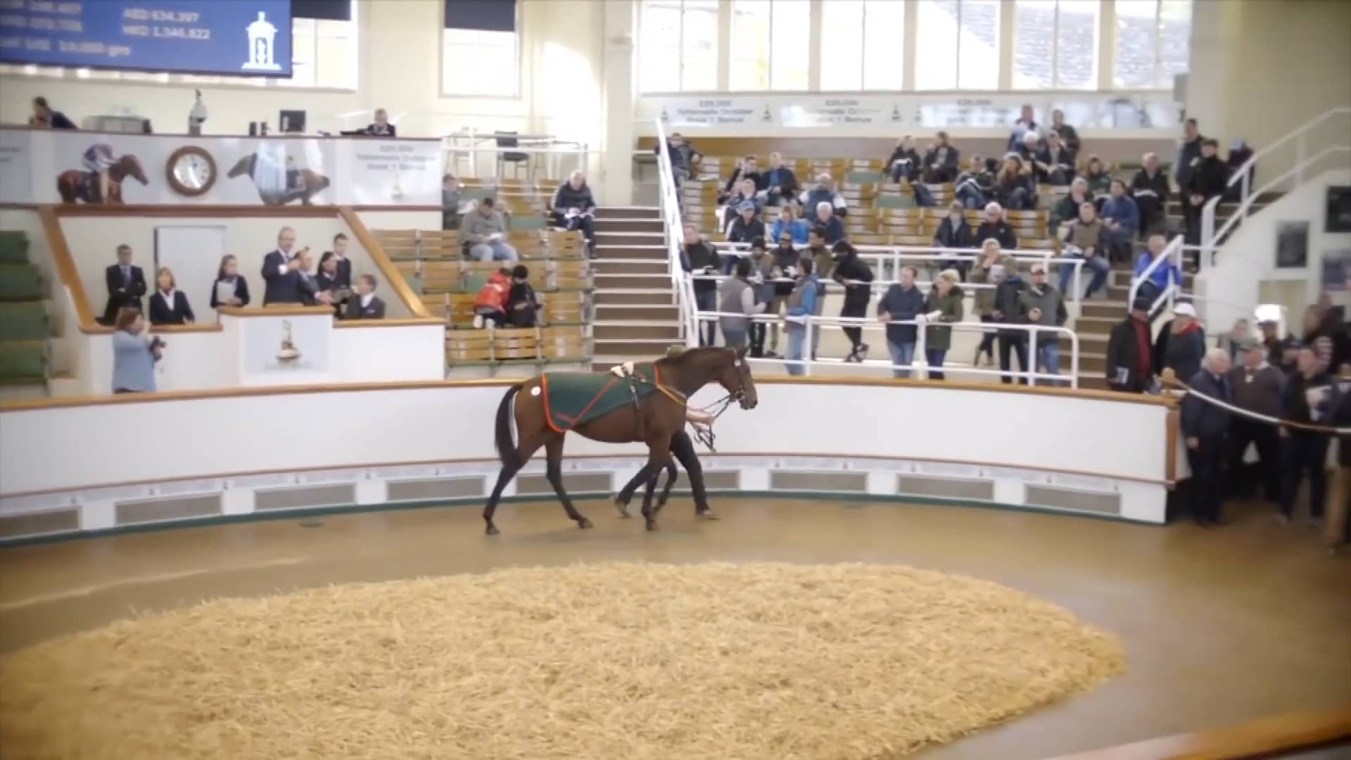 Tattersalls Horses in Training Sale on Vimeo