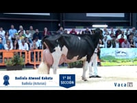 Vacas en producción con 50.000 kg o más
