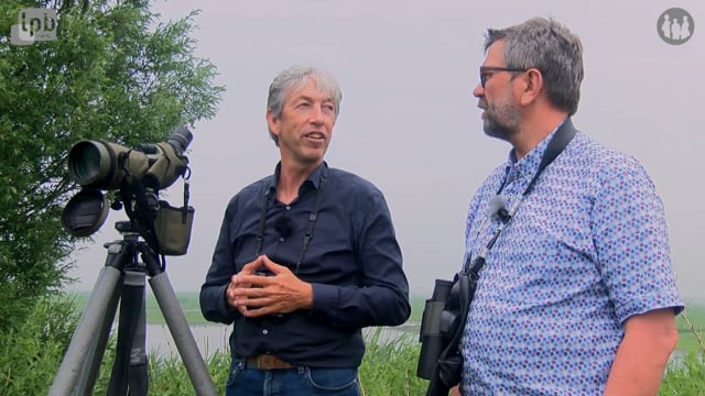 Lauwersmeer - Karel Eschbach