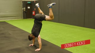 Donkey Kicks