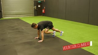 Mountain Climbers