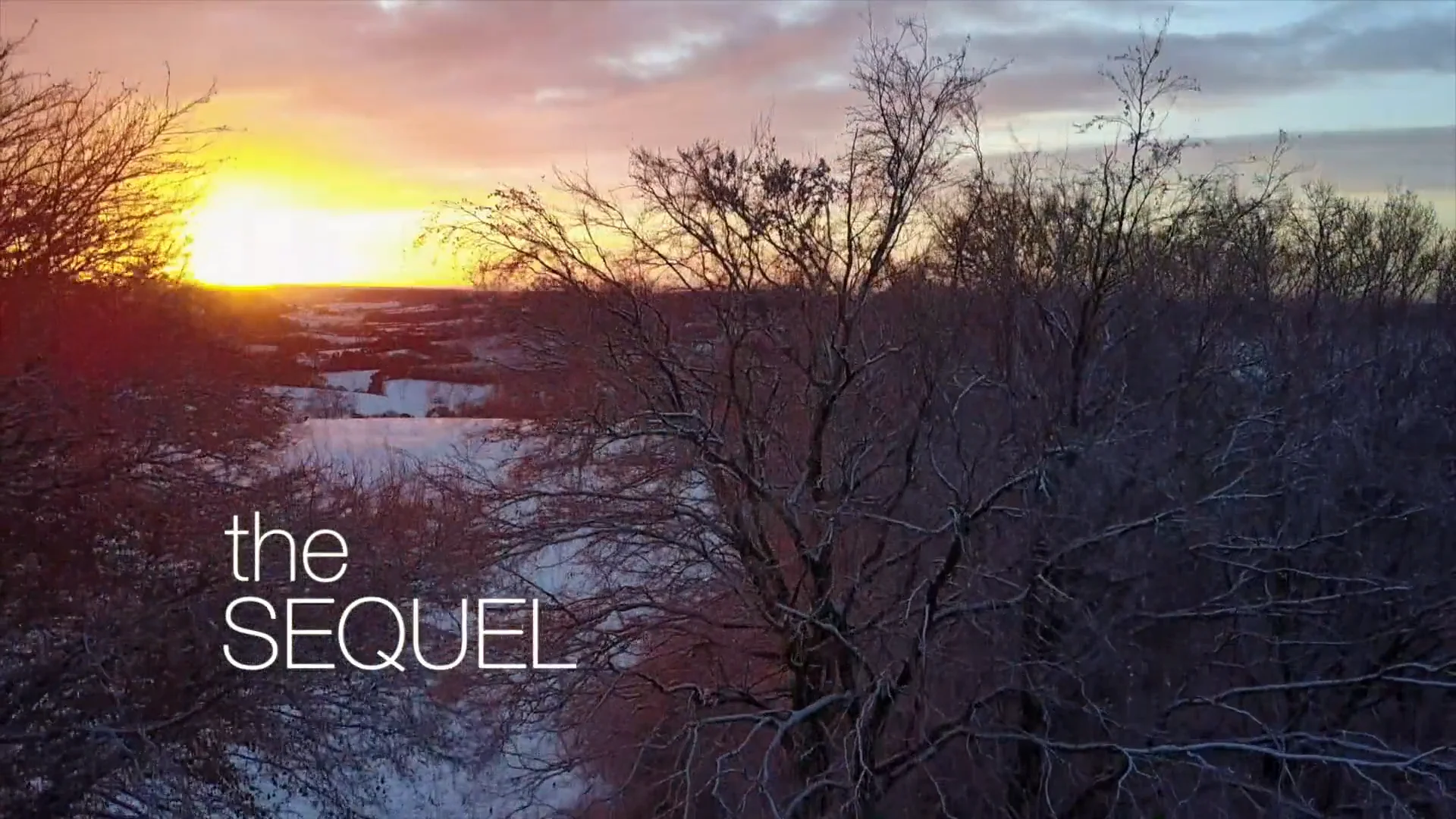 The Sequel - Trailer  