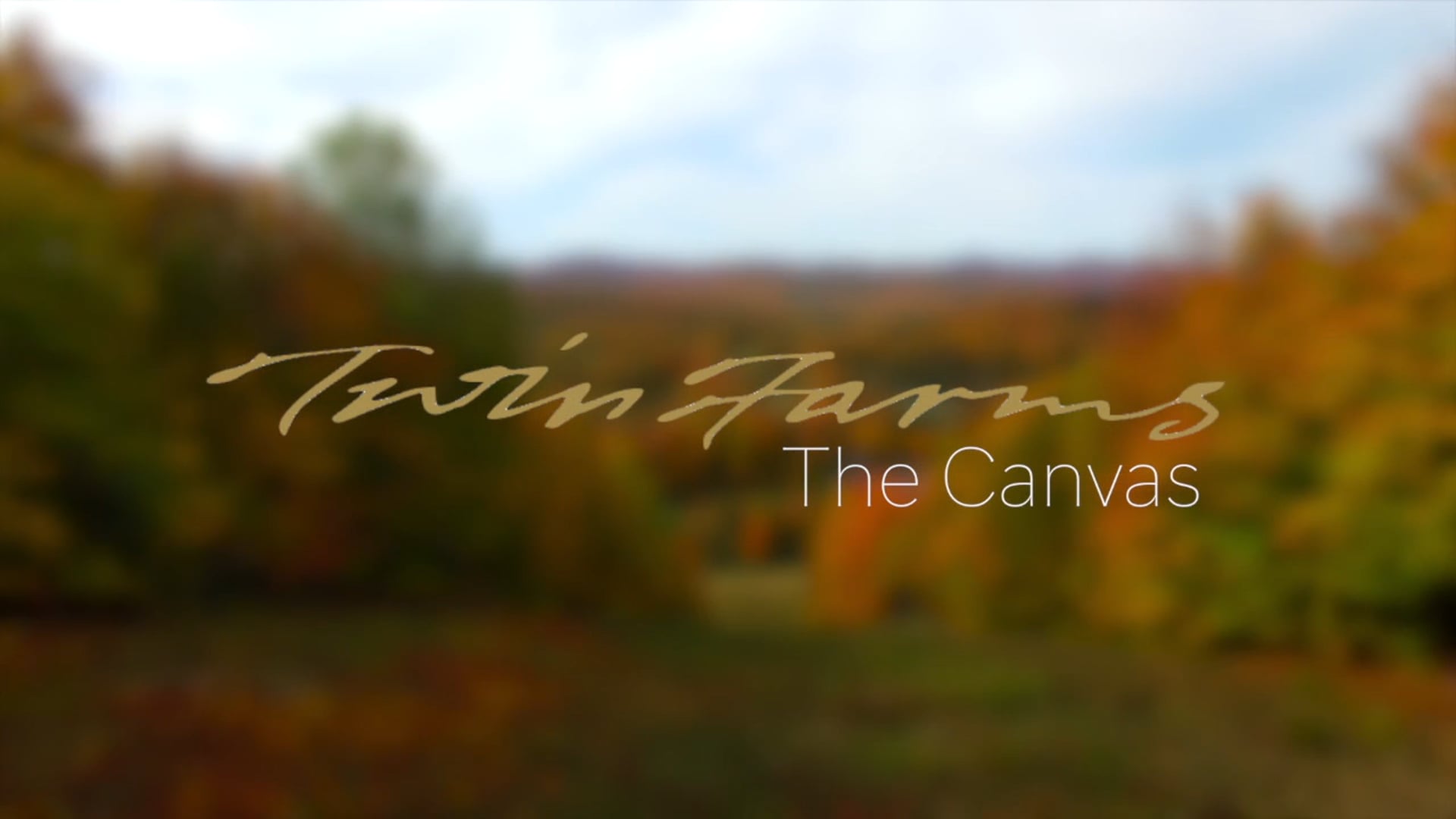 Twin Farms ~ The Canvas