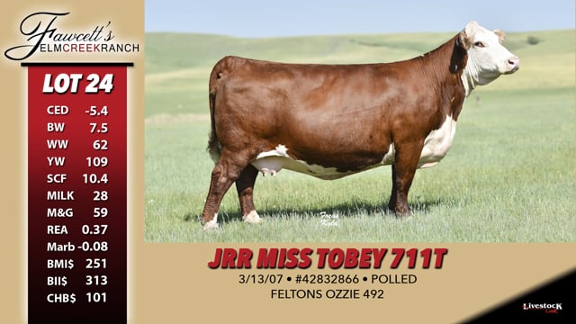 Lot #24 - JRR Miss Tobey 711T