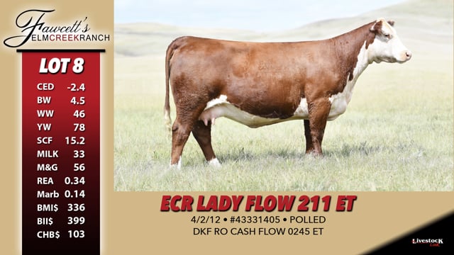 Lot #8 - ECR Lady Flw 211 ET