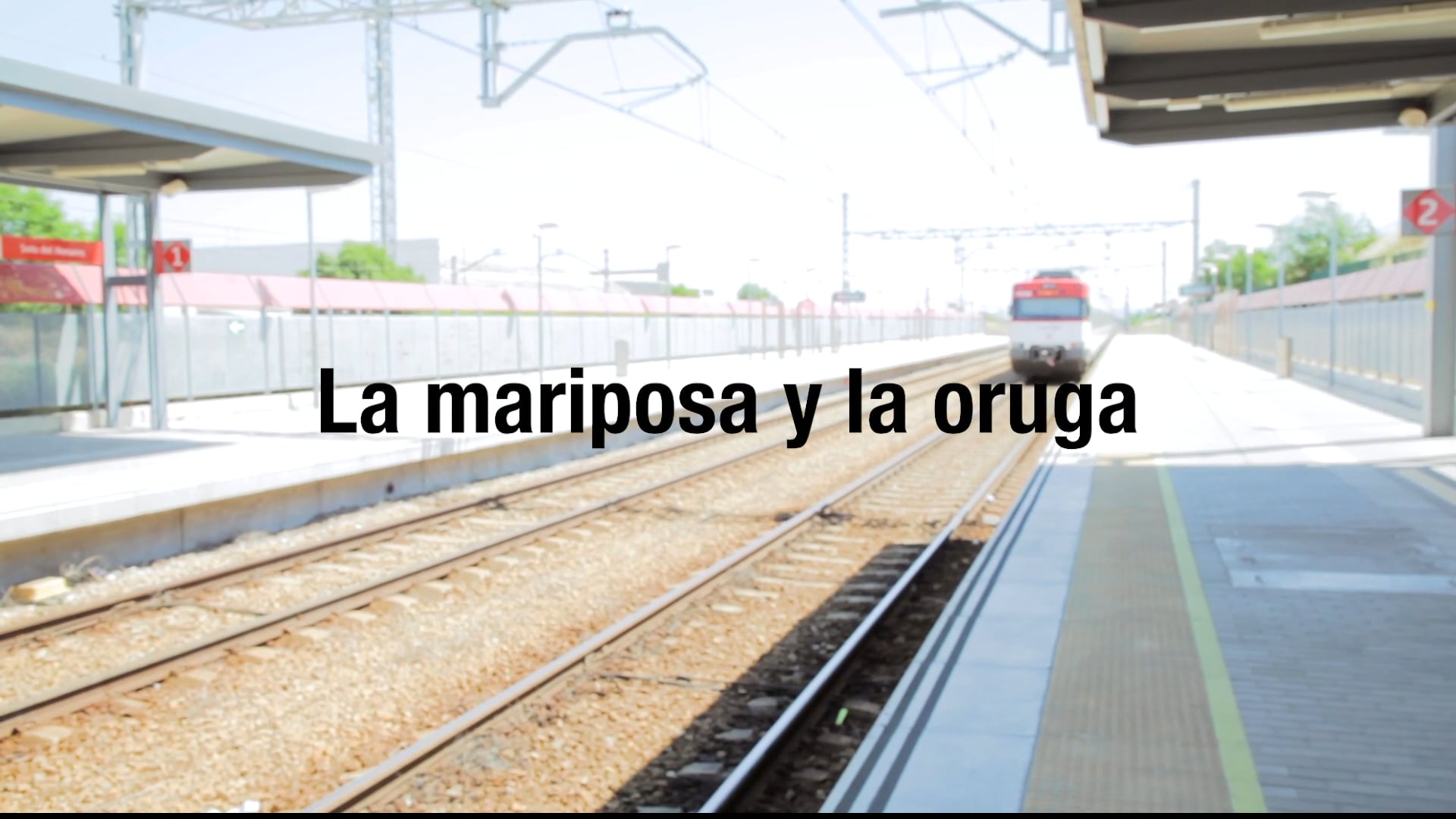 La MARIPOSA y la ORUGA