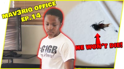 Spider Gives Trent An Emotional Breakdown! - Office Vlog Ep.14