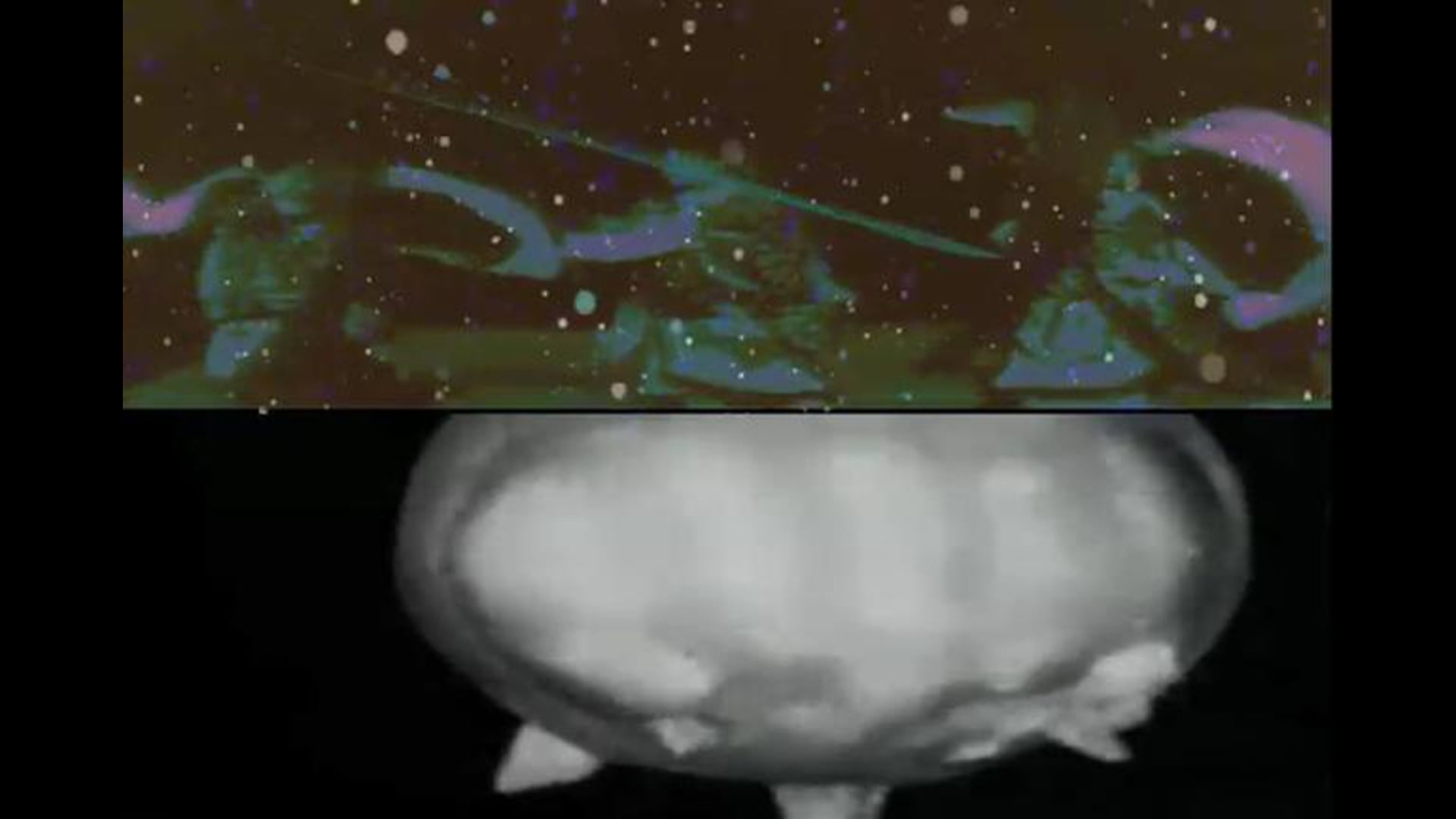 Xenogenesis Suite: A Tribute to Octavia Butler by flutist/composer Nicole Mitchell