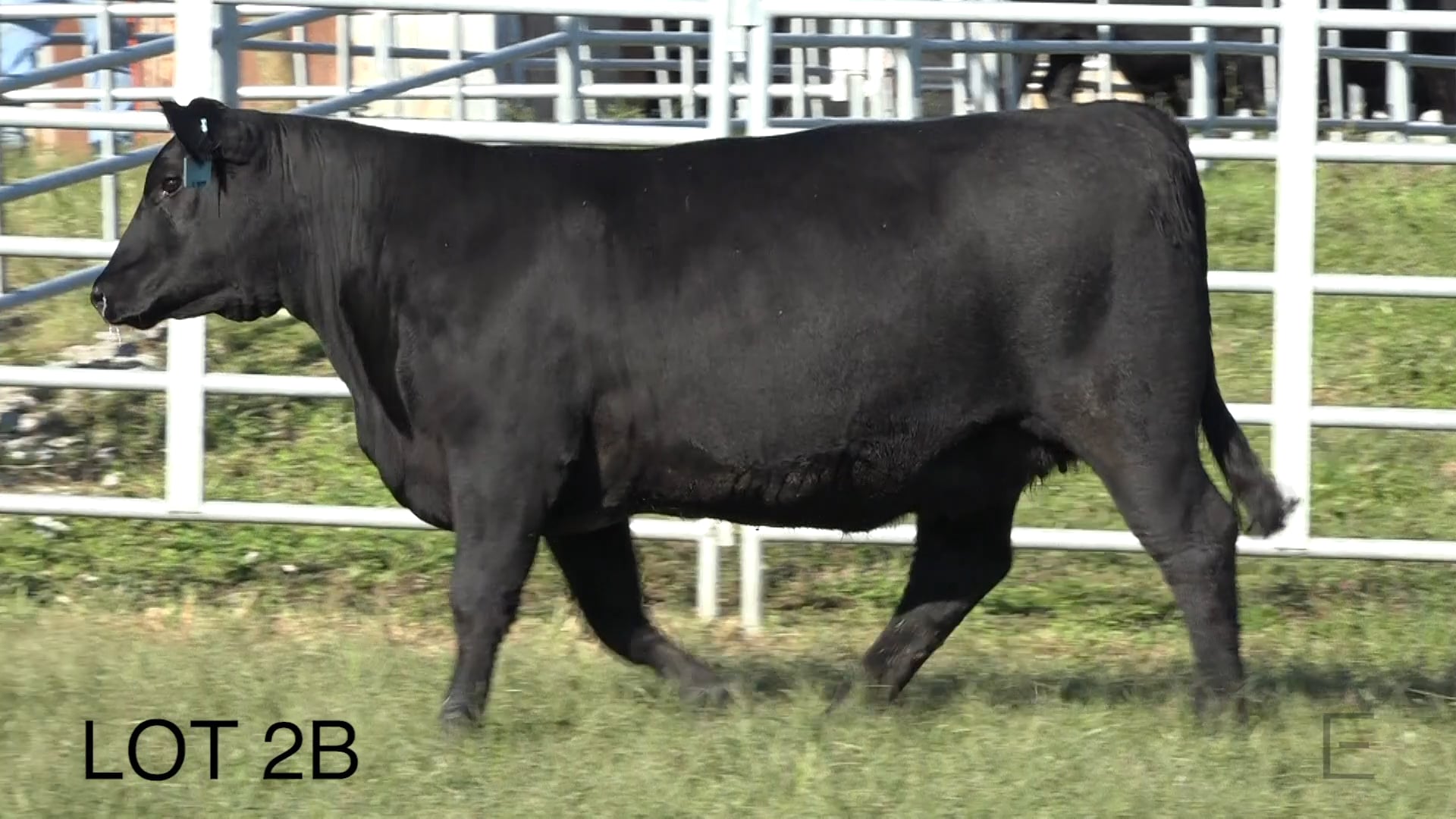 2018 ZWT Ranch LOT 2B on Vimeo