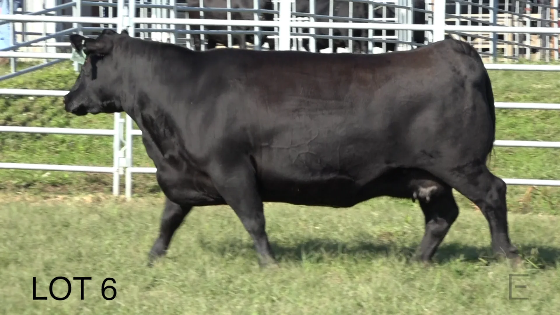 2018 ZWT Ranch LOT 6 on Vimeo