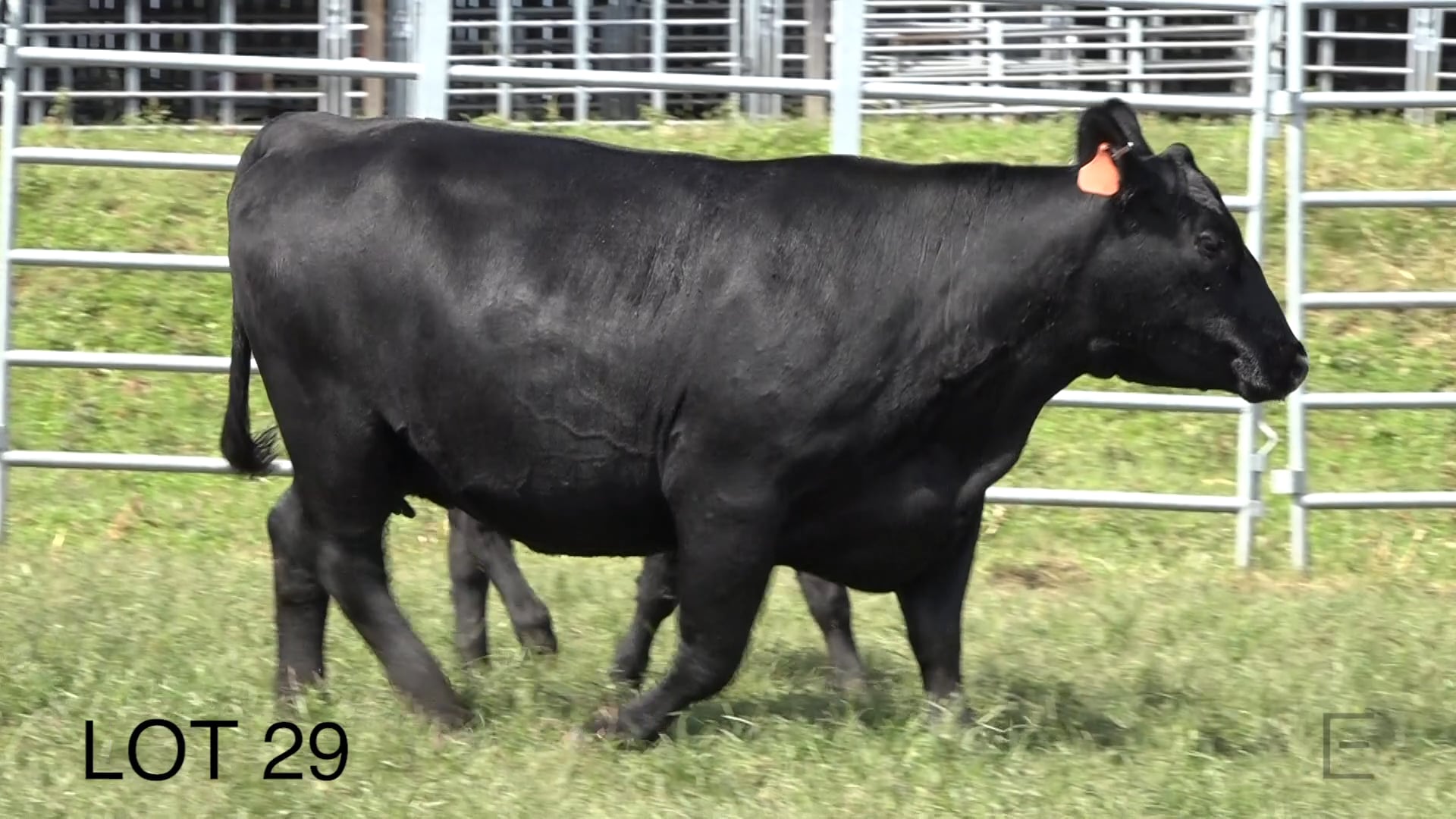 2018 ZWT Ranch LOT 29 on Vimeo