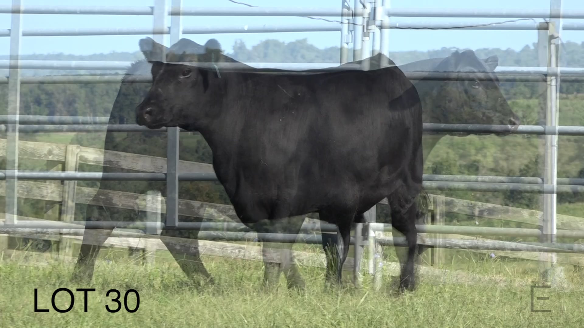 2018 ZWT Ranch LOT 30 on Vimeo