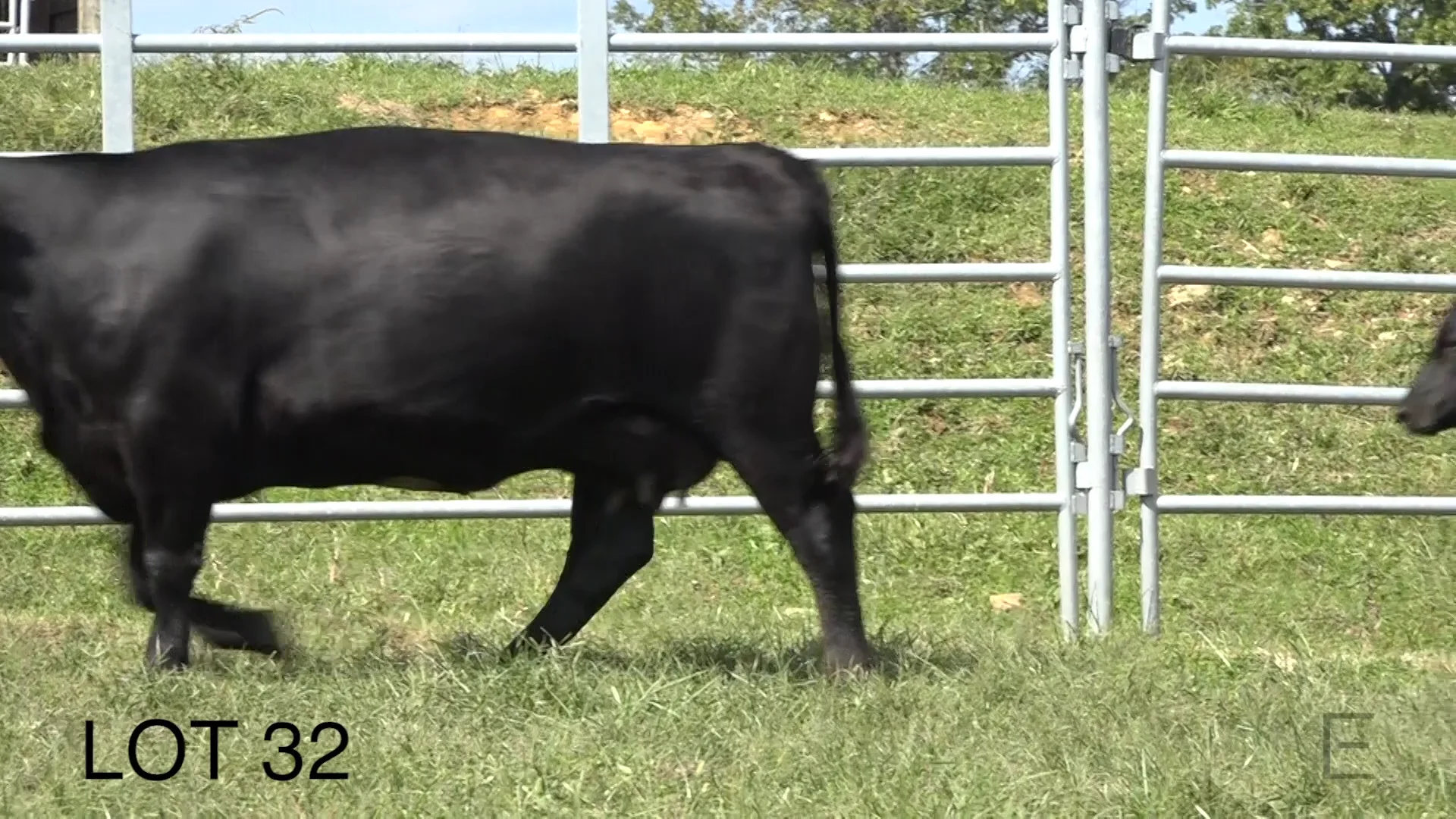 2018 ZWT Ranch LOT 32 on Vimeo