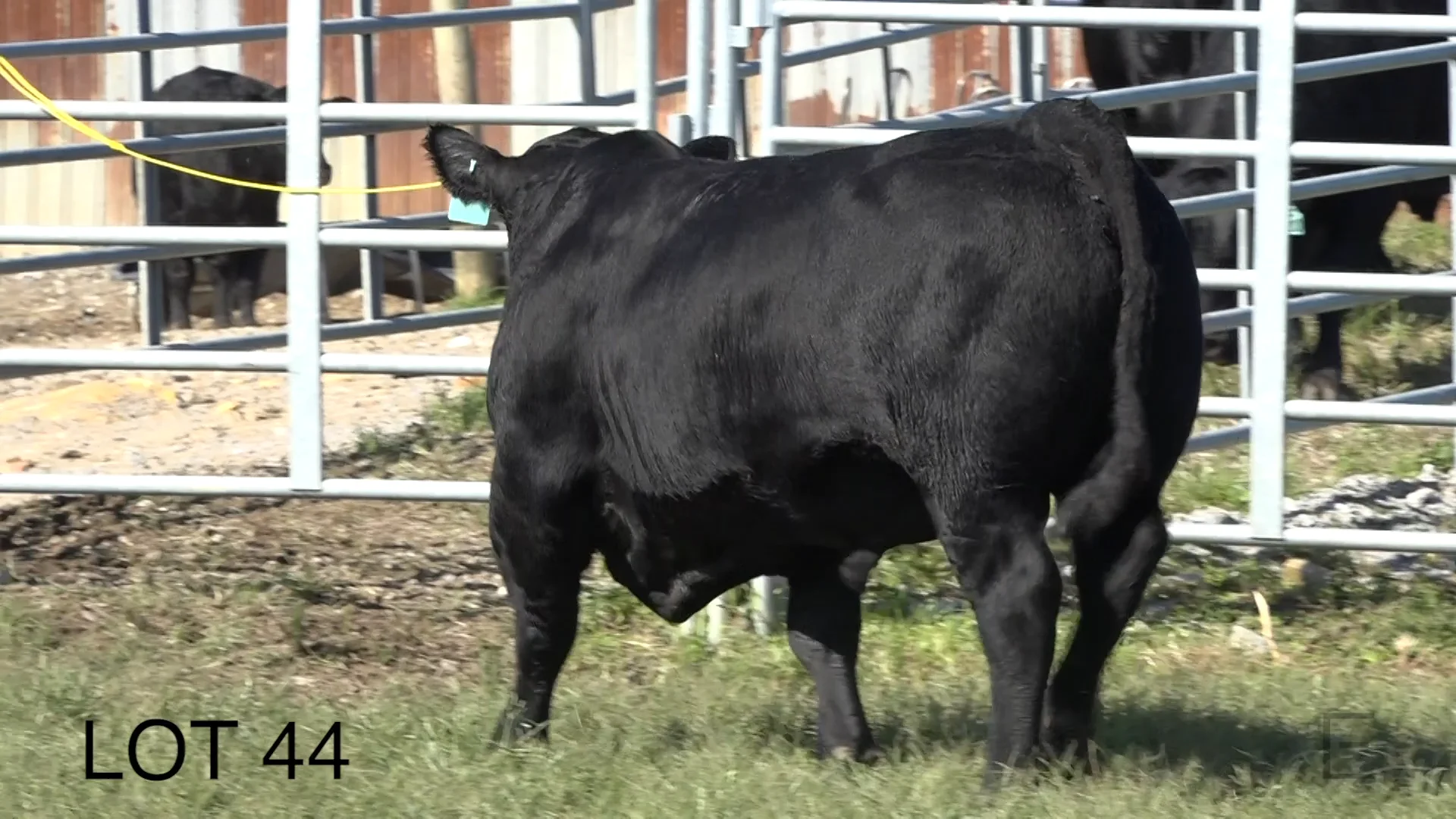 2018 ZWT Ranch LOT 44 on Vimeo