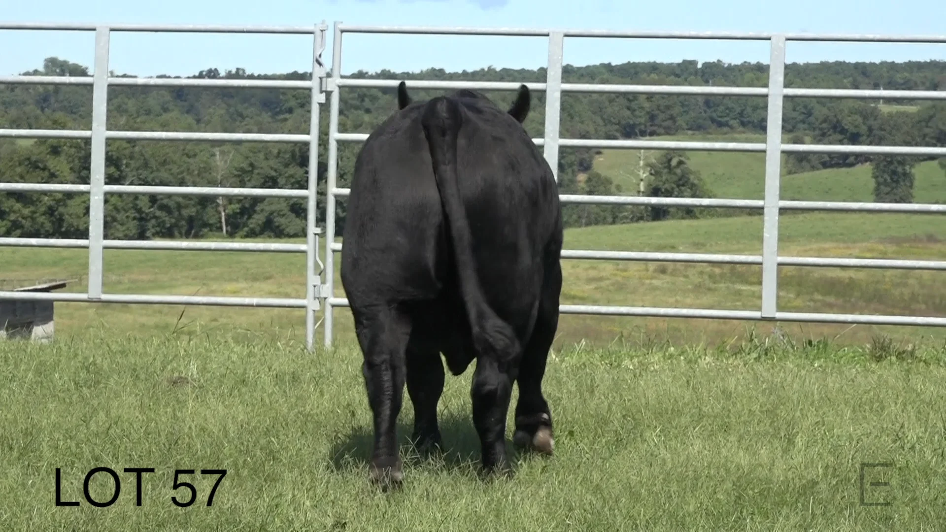 2018 ZWT Ranch LOT 57 on Vimeo