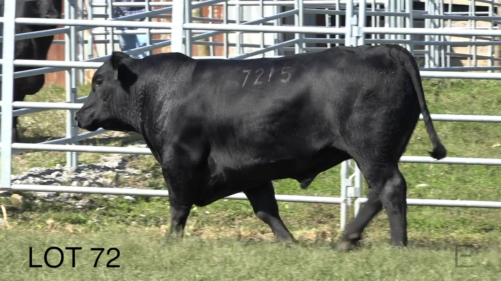 2018 ZWT Ranch LOT 72 on Vimeo