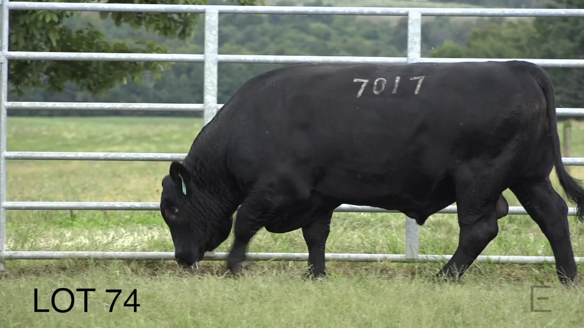 2018 ZWT Ranch LOT 74 on Vimeo