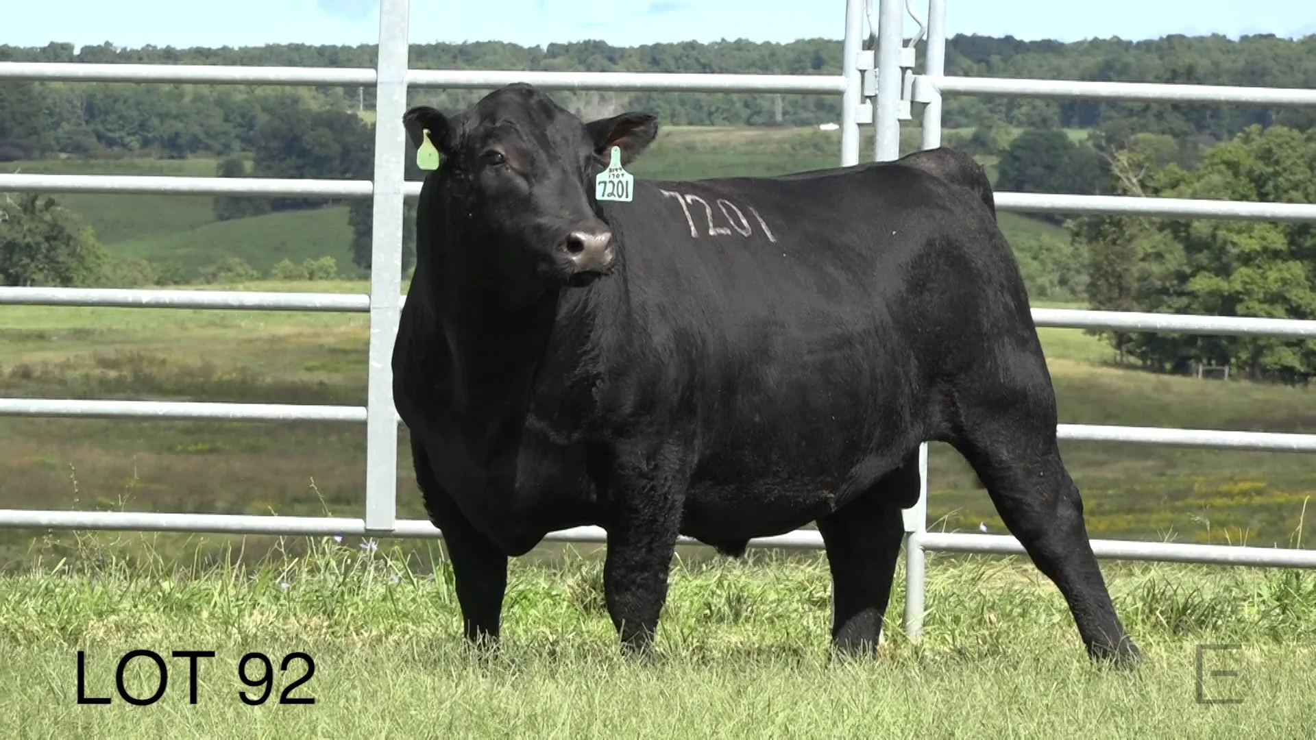 2018 ZWT Ranch LOT 92 on Vimeo