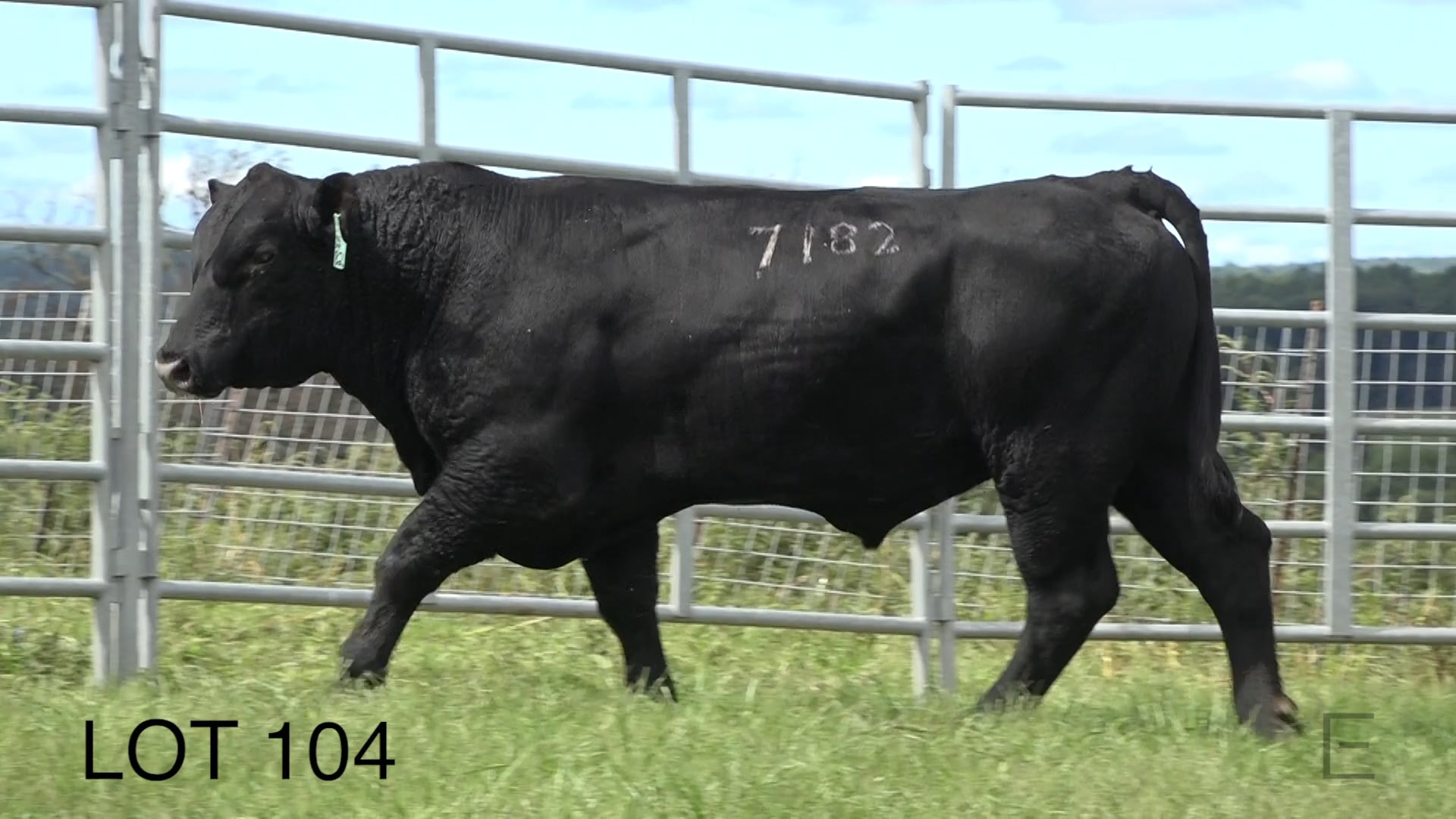 2018 ZWT Ranch LOT 104 on Vimeo