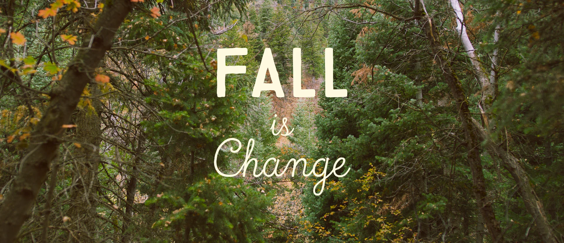 Fall is Change on Vimeo