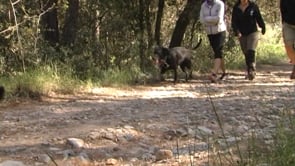 ERC es reuneix amb el delegat de Medi Ambient