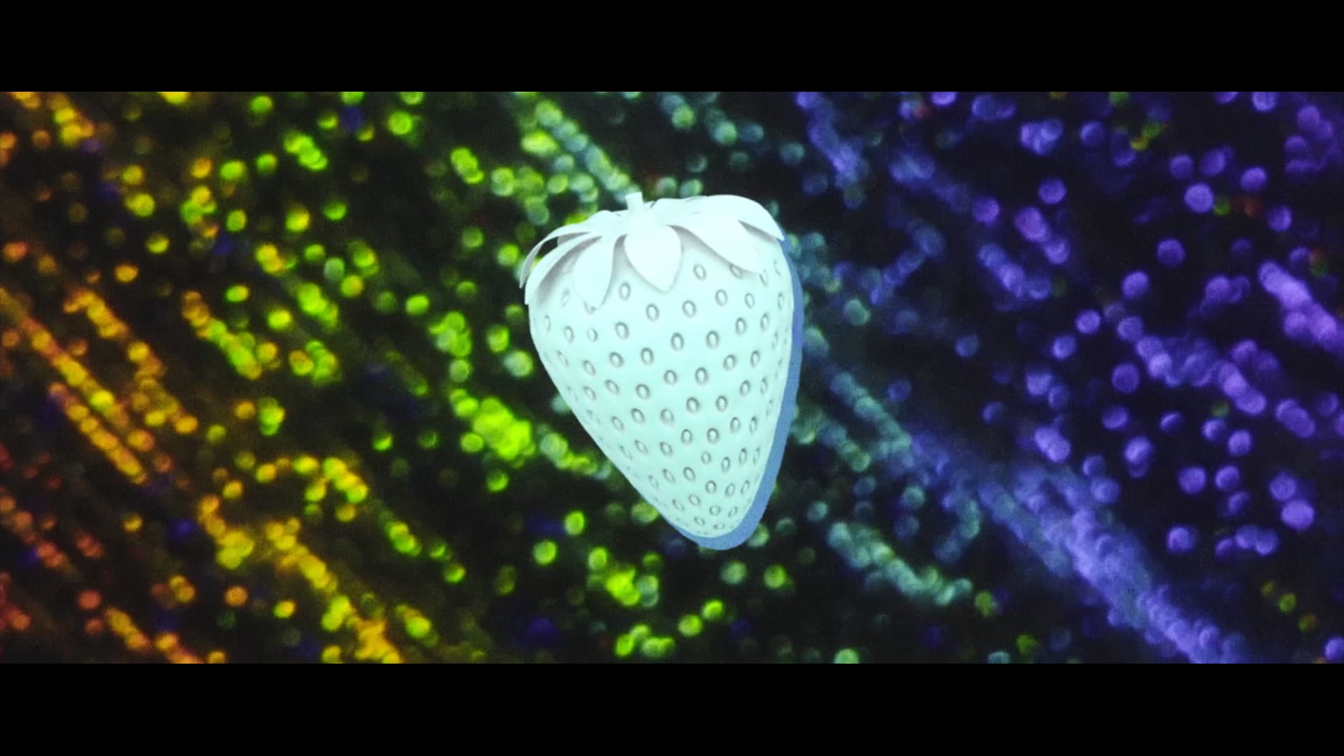 Opus Science Collective - The Ride Home by Blauw Films