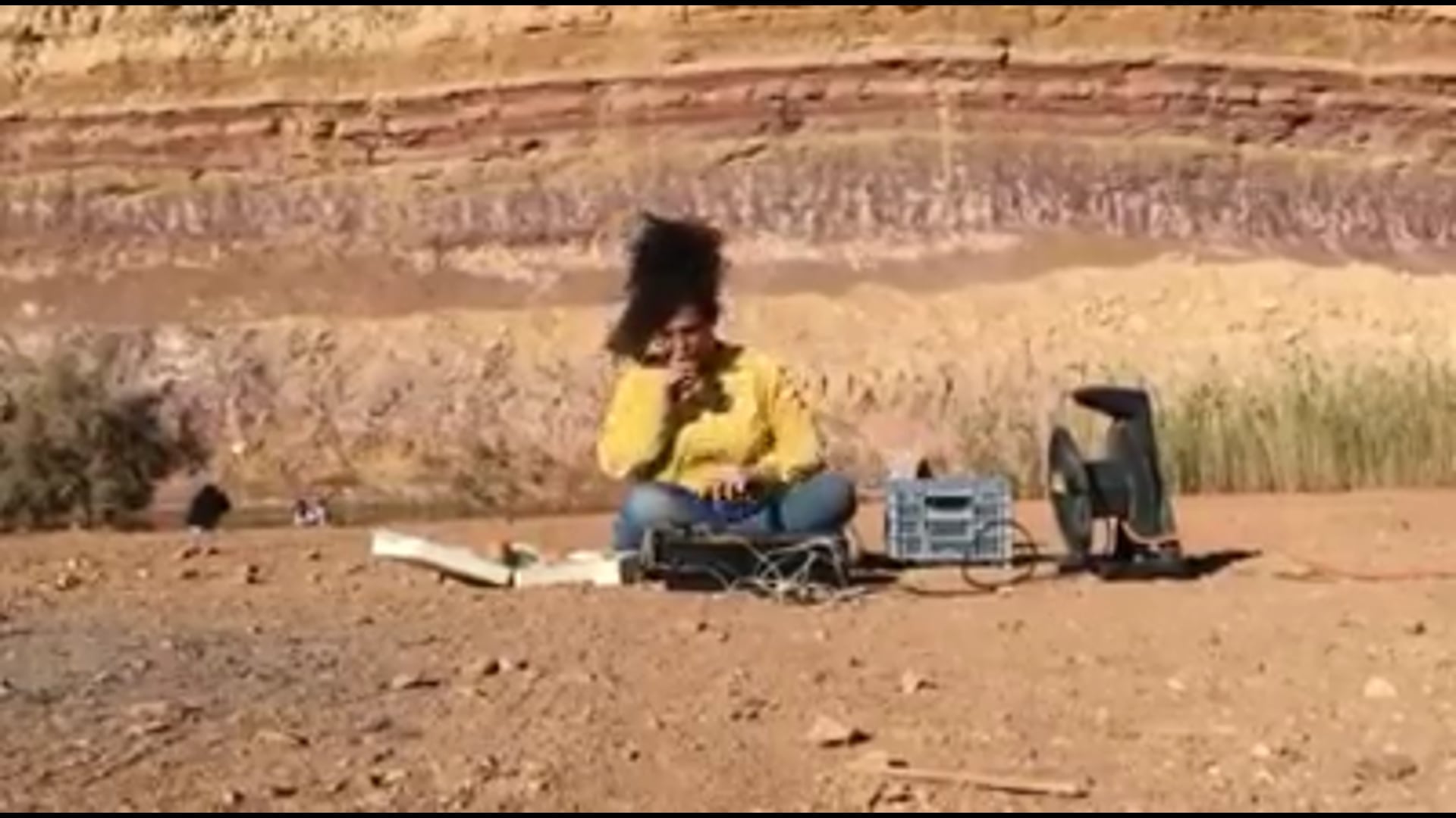 desert birds in the crater