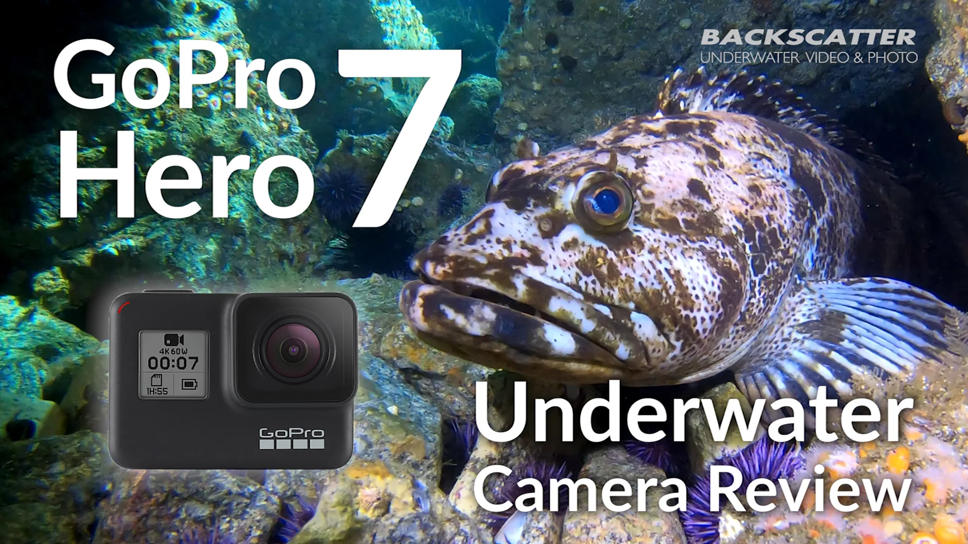 GoPro HERO7 Black Action Camera GoPro HERO7 Black Action Camera