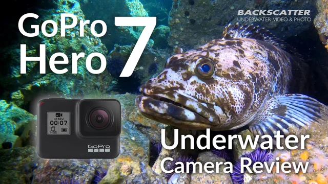 GoPro HERO7 Black UHD 4K Digital Action Camera with Rechargeable Battery  Pack {12MP} Waterproof to 33 ft. at KEH Camera