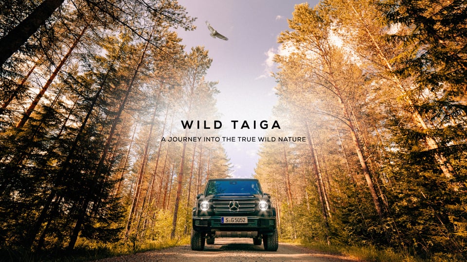Finland - Into the true wild nature