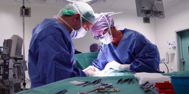 Het Radboud Centrum voor Mitochondriële Geneeskunde