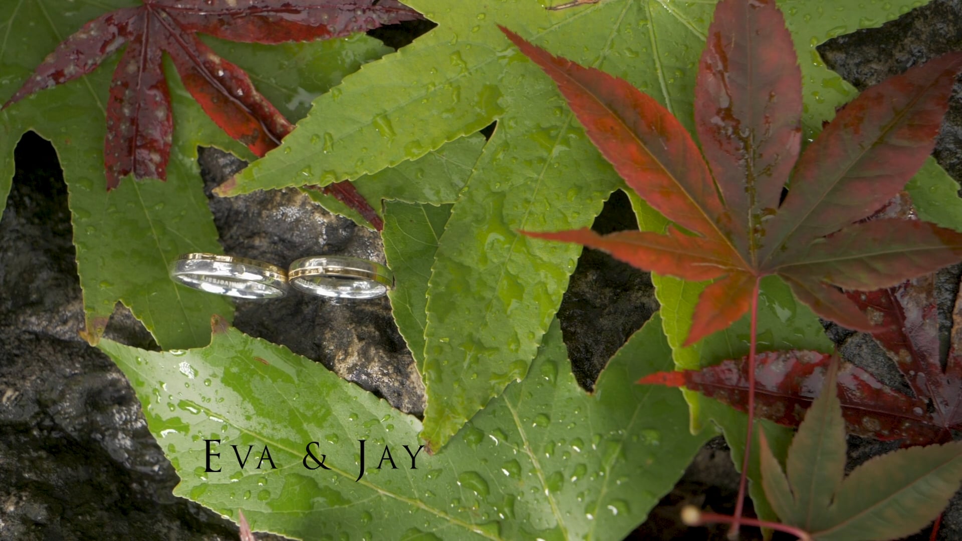 #EvaAndJay - Wedding Highlights - 10 | 6 | 2018