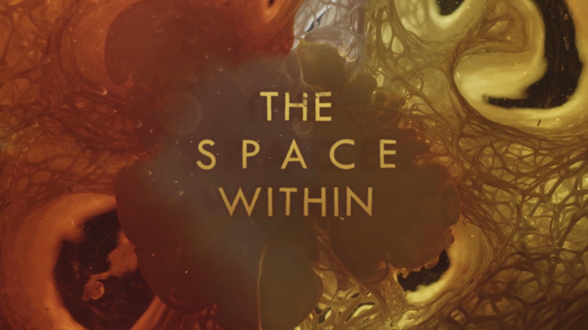 The Space Within
