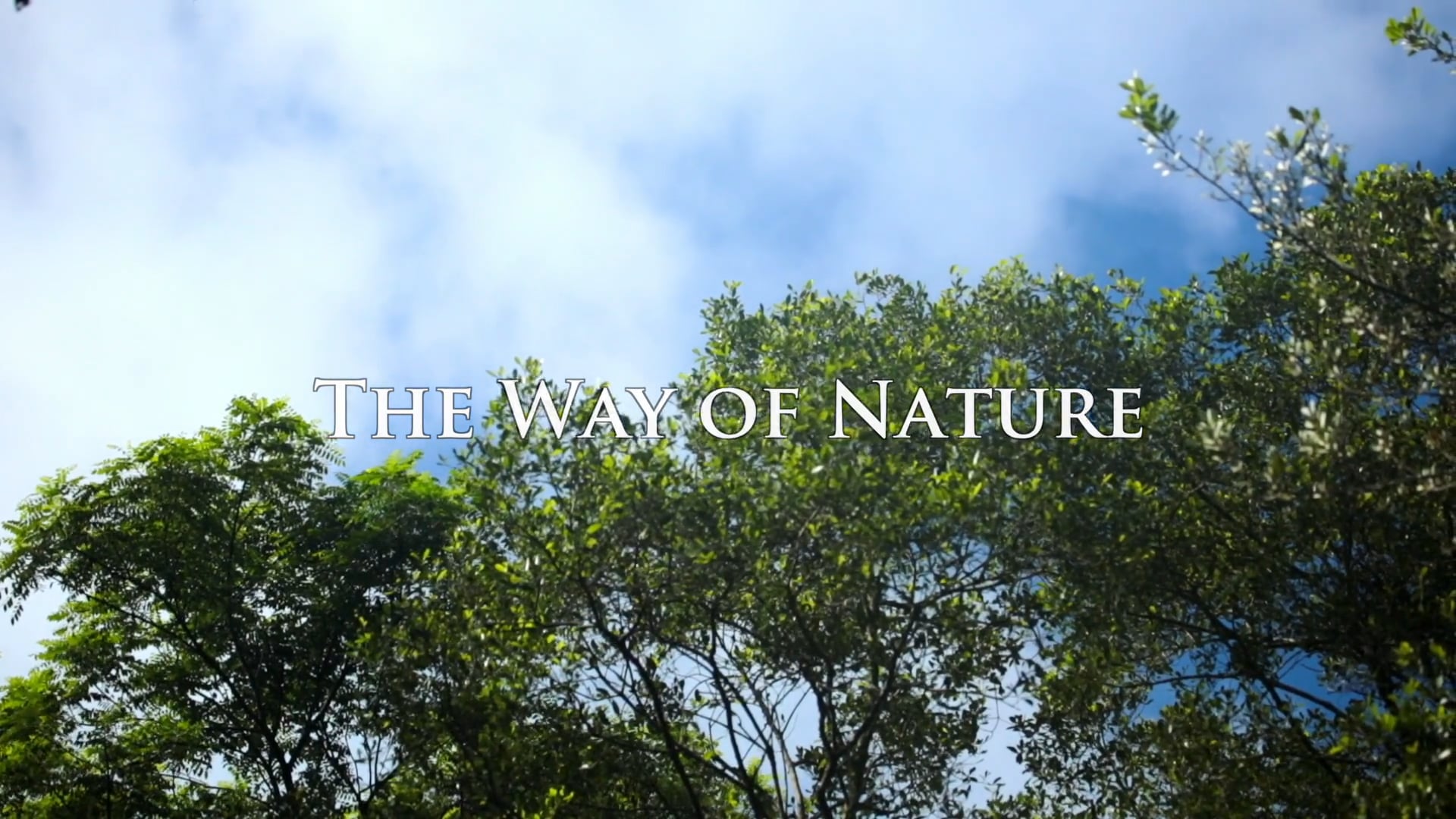 The Way of Nature - Promo