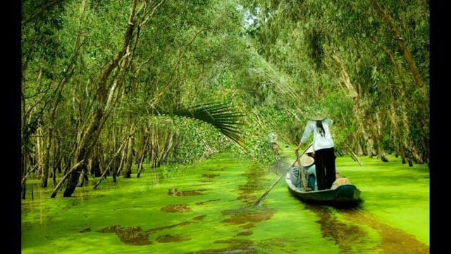 Du lịch cần thơ