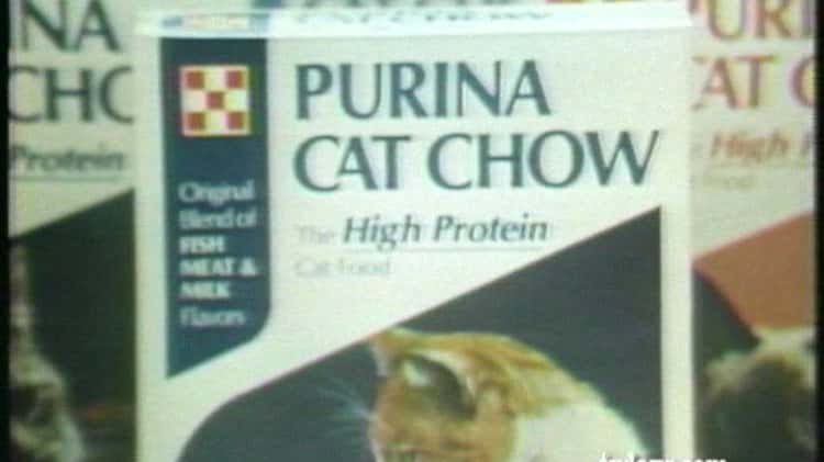 Cat hotsell chow commercial