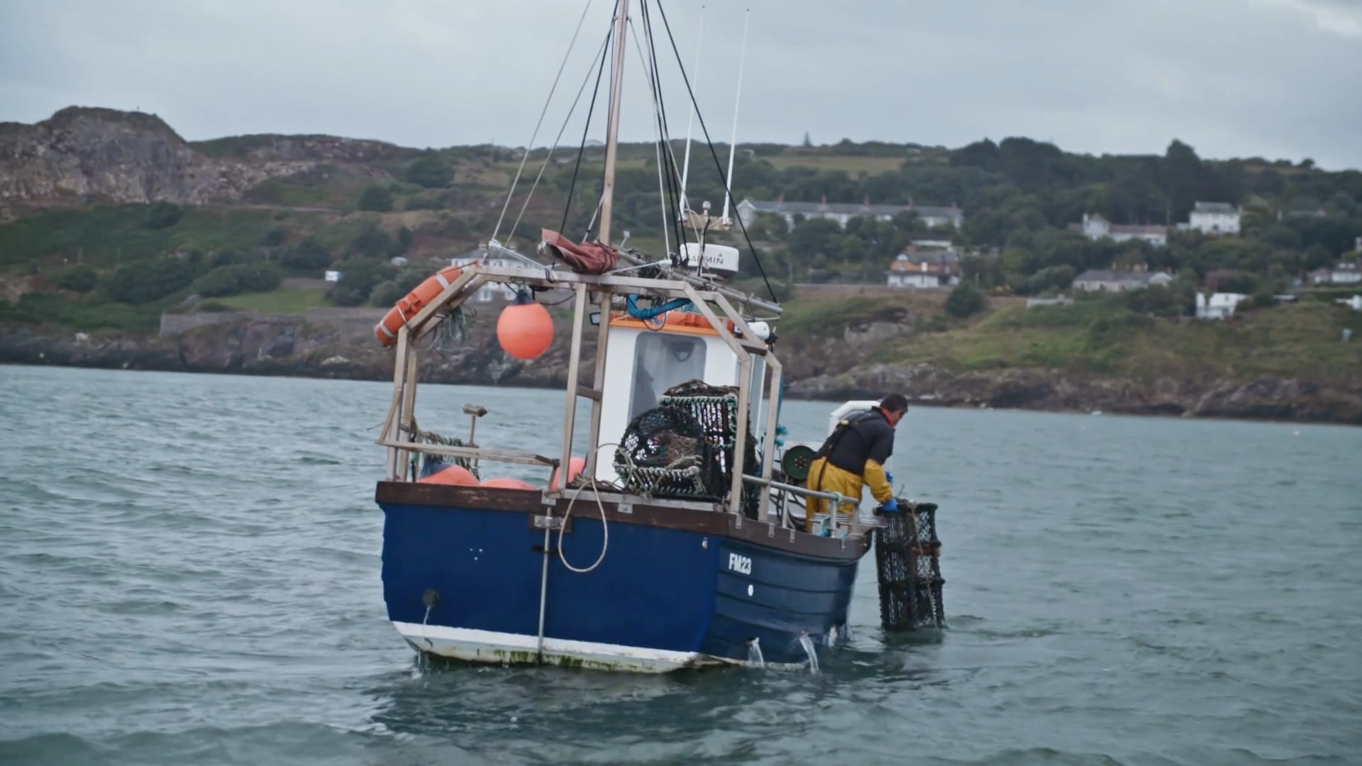 Irish Seafood - Lobster.
