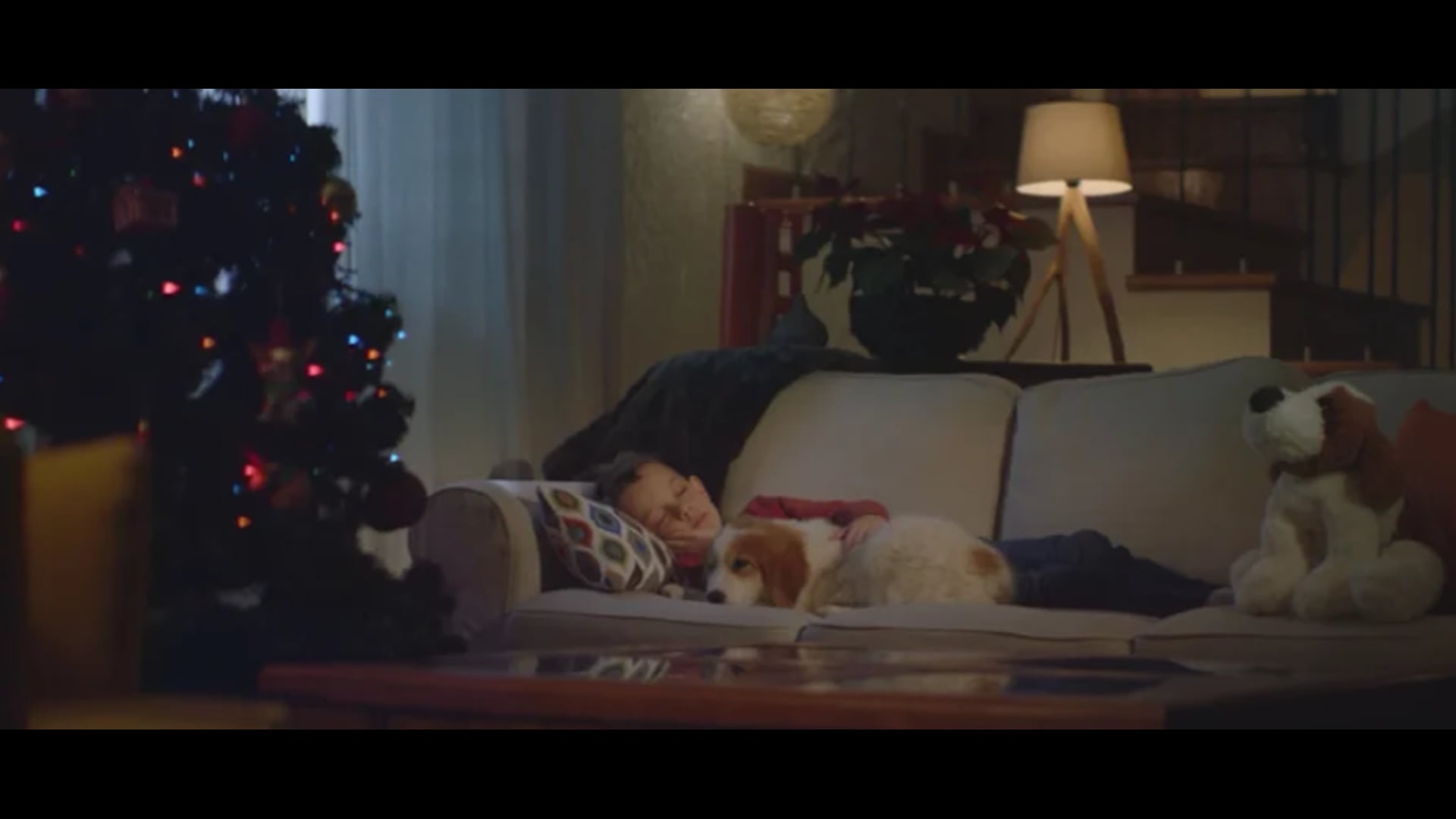 FUNDACION AFFINITY - No son un juguete