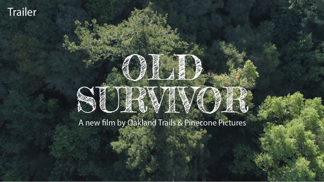 Old Survivor Trailer