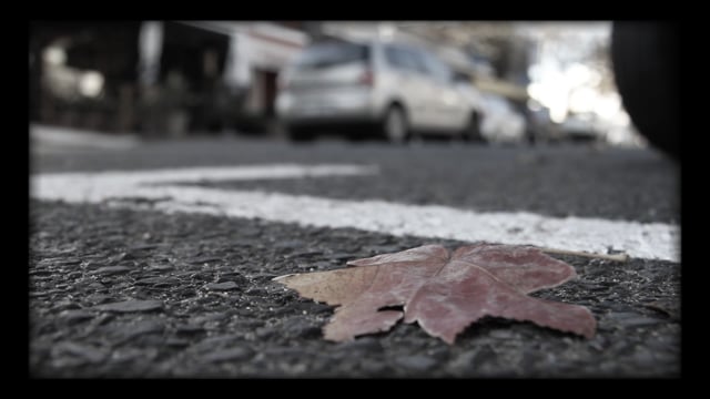 Ek wil net huis toe gaan - Koos Kombuis & David Kramer