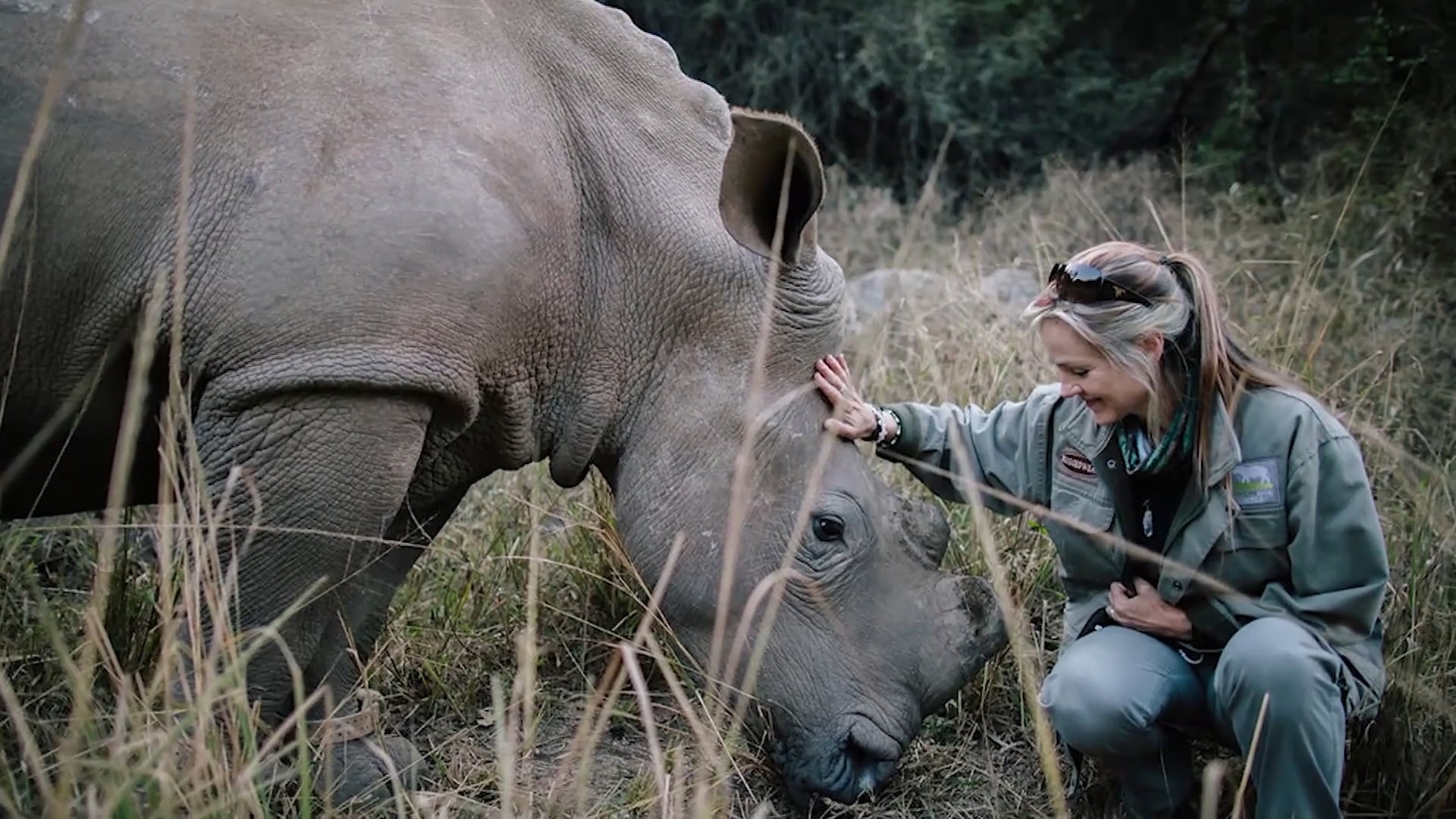 Breaking Their Silence