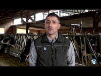 Aspectos claves de la recría para una lactación más productiva