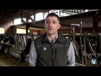 Aspectos claves da recría para unha lactación máis produtiva